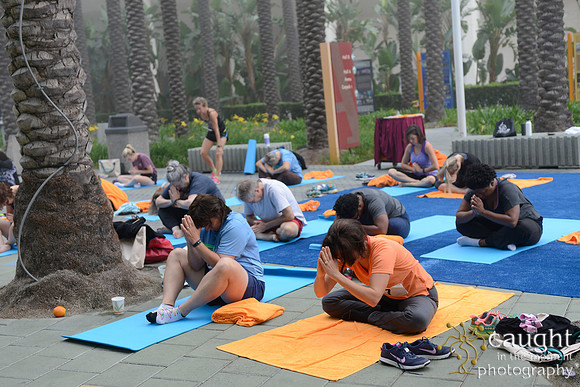 1300 OMED 2016-Yoga