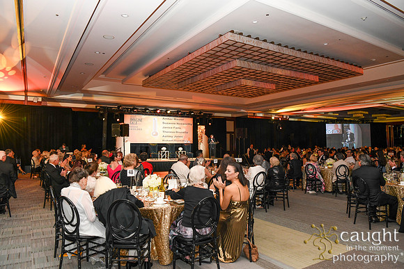 272 Imagine Gala 2024