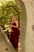 16 Maternity Portraits