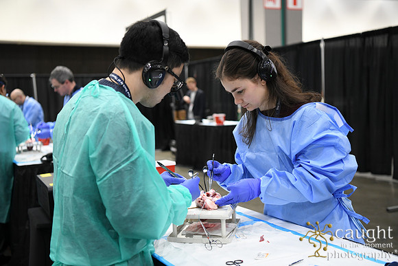 931 STS2025-Hands-On Courses