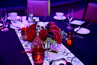 013 NPC Awards Gala 2025 Phoenix