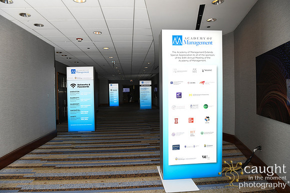 081 AOM 2024 Registration & Networking Hubs