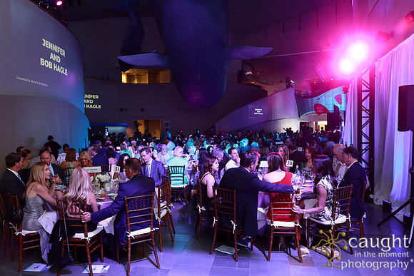 170 Aquarium of the Pacific Blue Whale Gala and After Party 2025