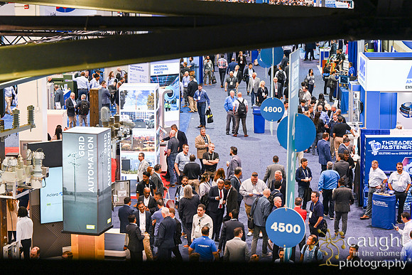 539 IEEE PES TandD Anaheim 2024