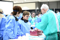 912 STS2025-Hands-On Courses