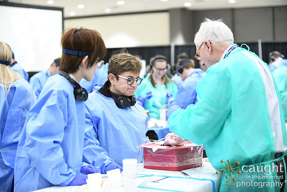 912 STS2025-Hands-On Courses