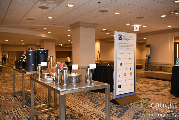 059 AOM 2024 Registration & Networking Hubs