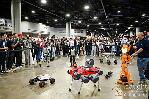 1406 IEEE ICRA 2025 Atlanta
