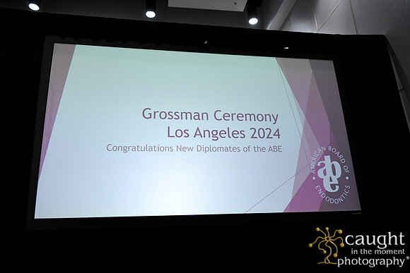 1216 AAE 2024 in Los Angeles - Grossman Ceremony