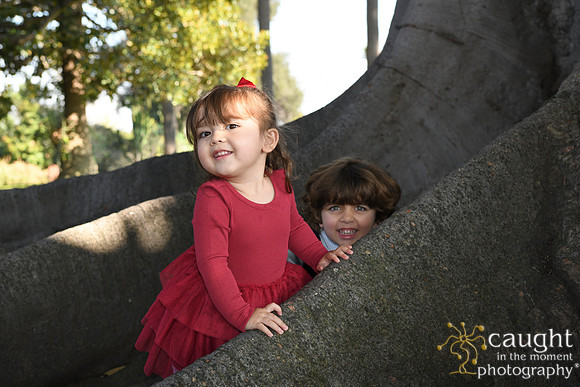048 Grella Family Portraits in Long Beach 2025