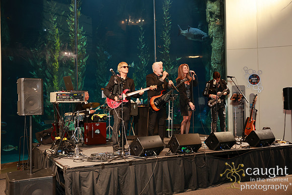258 Aquarium of the Pacific Blue Whale Gala and After Party 2025