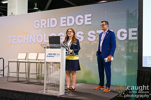 590 IEEE PES TandD Anaheim 2024