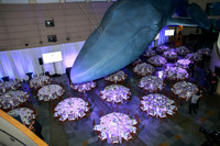 120 Aquarium of the Pacific Blue Whale Gala and After Party 2025