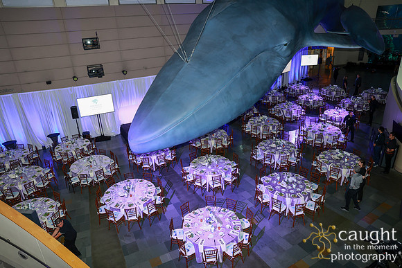 120 Aquarium of the Pacific Blue Whale Gala and After Party 2025
