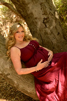 105 Maternity Portraits