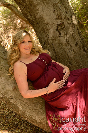105 Maternity Portraits