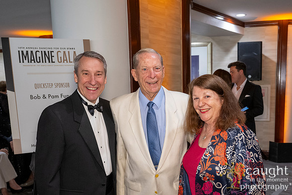 249 Imagine Gala 2024