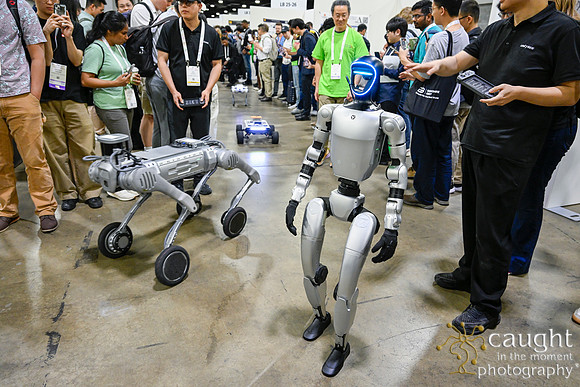 1396 IEEE ICRA 2025 Atlanta