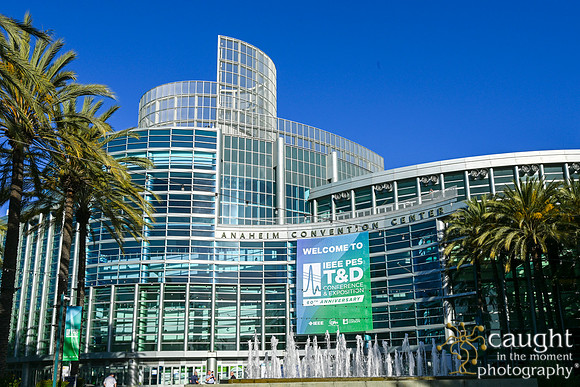 003 IEEE PES TandD Anaheim 2024