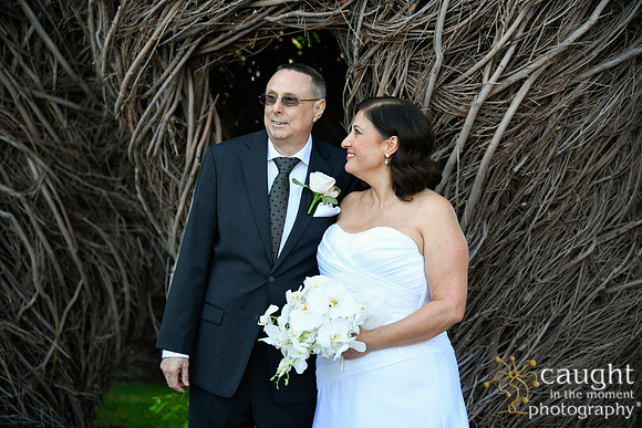 255 Greet Wedding
