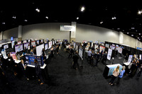 361 AAE 2018 in Denver-Posters & Table Displays