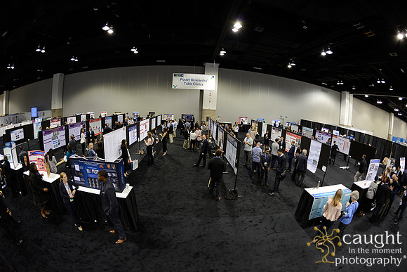 361 AAE 2018 in Denver-Posters & Table Displays