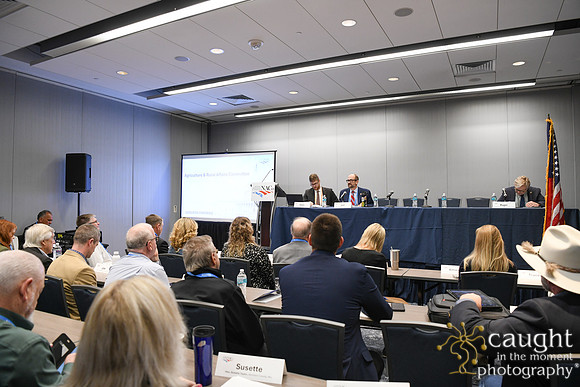 283 NACo 2025 Leg-Saturday-Agricultural and Rural Affairs