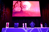 003 NPC Awards Gala 2025 Phoenix