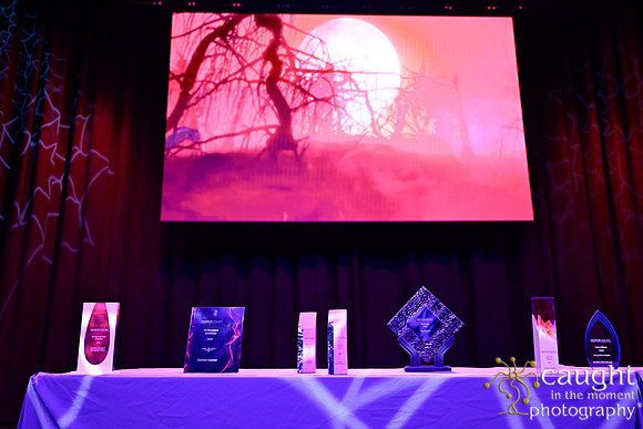 003 NPC Awards Gala 2025 Phoenix