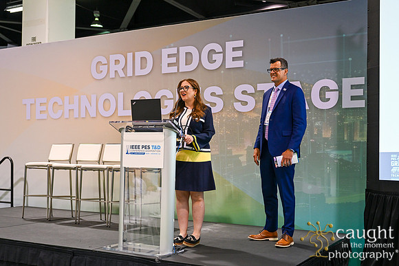 594 IEEE PES TandD Anaheim 2024