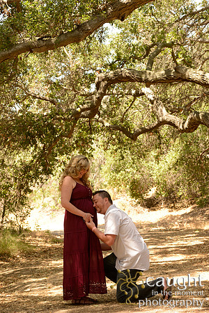 28 Maternity Portraits