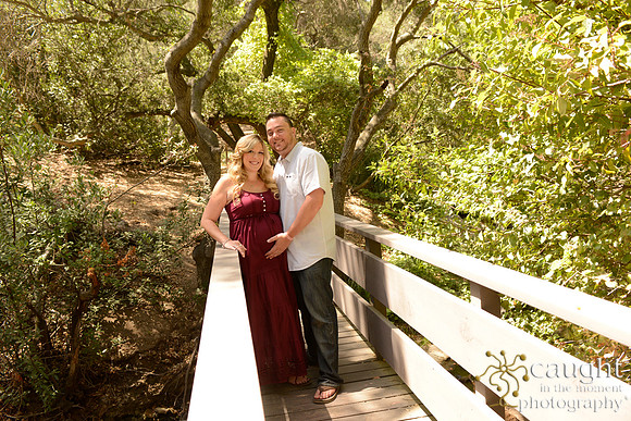 55 Maternity Portraits