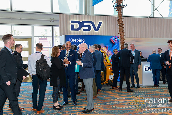 041 DSV at TPM25