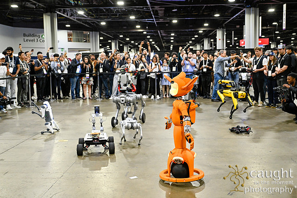 1410 IEEE ICRA 2025 Atlanta