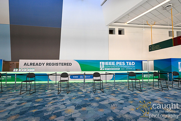037 IEEE PES TandD Anaheim 2024