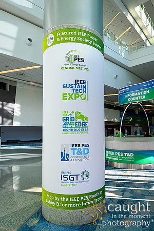 018 IEEE PES TandD Anaheim 2024