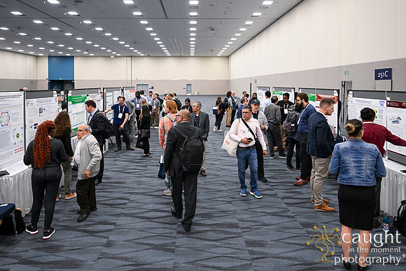1399 IEEE PES TandD Anaheim 2024