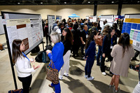291 AACTE Annual Meeting 2025 Long Beach