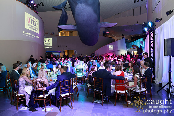 171 Aquarium of the Pacific Blue Whale Gala and After Party 2025