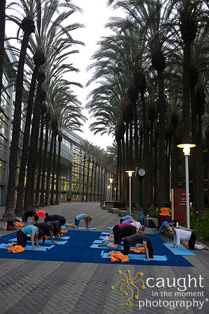 1290 OMED 2016-Yoga