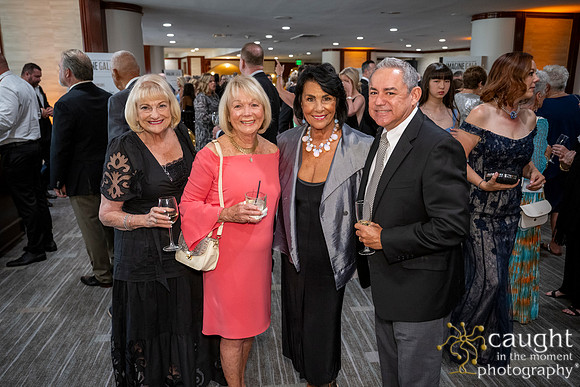 252 Imagine Gala 2024
