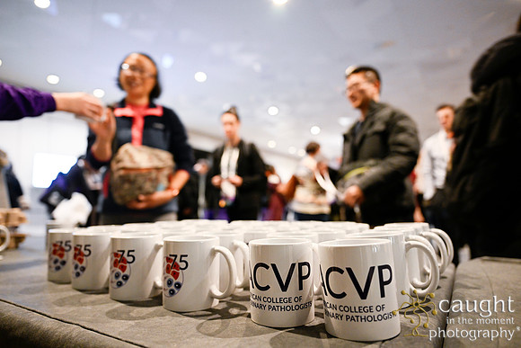 038 ACVP 2024 in Seattle