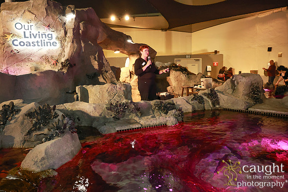 292 Aquarium of the Pacific Blue Whale Gala and After Party 2025
