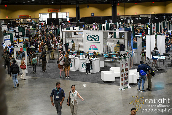 144 ESA 2024 in Long Beach