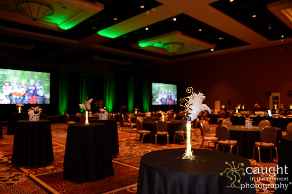 274 NRPA 2015 Gold Medal Reception