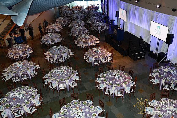 129 Aquarium of the Pacific Blue Whale Gala and After Party 2025