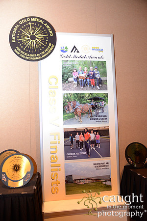 291 NRPA 2015 Gold Medal Reception