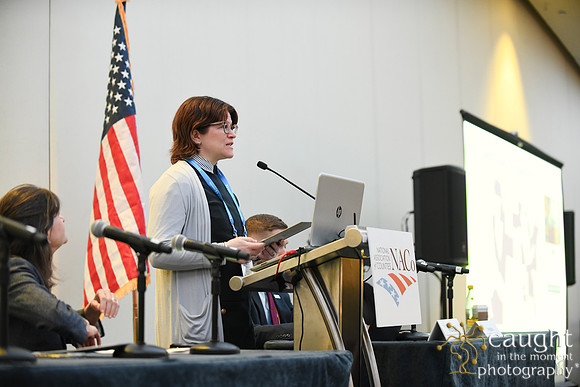 409 NACo 2025 Leg-Saturday-Community, Economic and Workforce Development