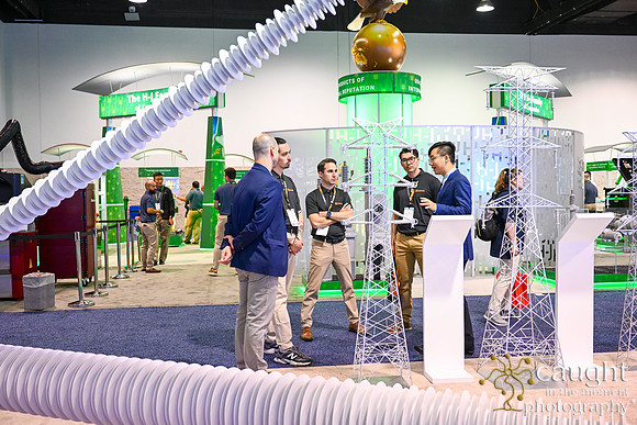 394 IEEE PES TandD Anaheim 2024