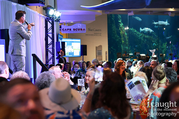 211 Aquarium of the Pacific Blue Whale Gala and After Party 2025
